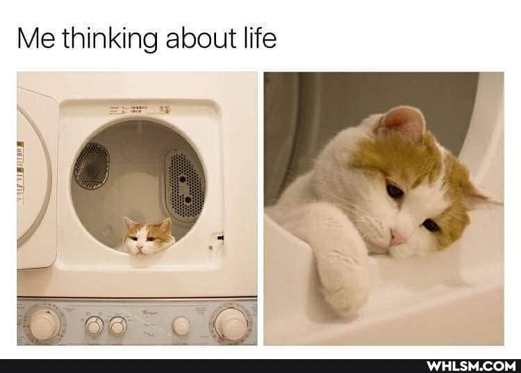 Me thinking about life