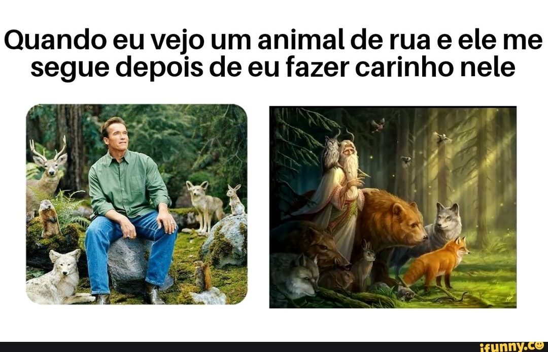 Quando eu vejo um animal de rua e ele me
segue depois de eu fazer carinho nele