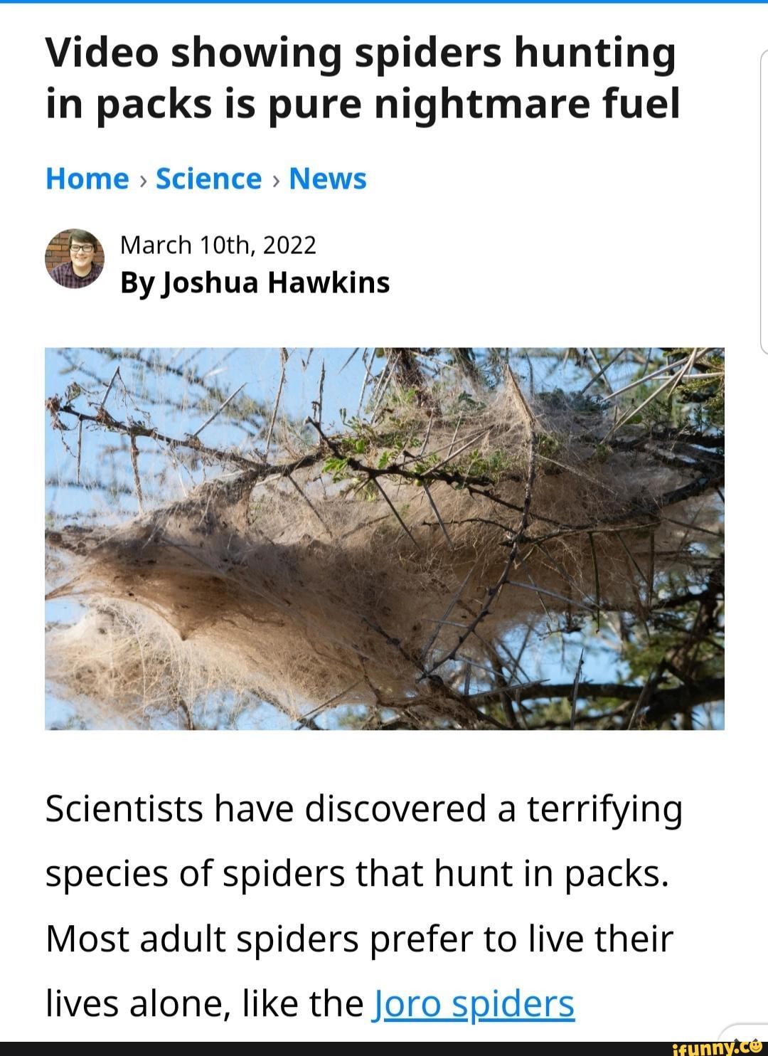 Video showing spiders hunting in packs is pure nightmare fuel Home > Science News March 10th
