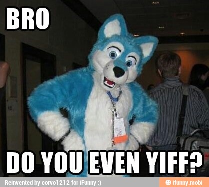 DO YOU
EVEN YIFF?