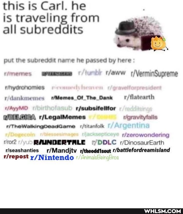 this is Carl. he is traveling from all subreddits
put the subreddit name he passed by here
rmydronomies avett
/VerminSupreme
/Memes_Ot_The_Dank
/gravitytalis
:/titanfolk Argentina
rizerowondenng
vor TALE DDLC //DinosaurEarth
rrepost
riseashanties '/battlefordreamisland