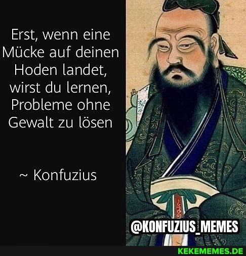 Erst, wenn eine
Mücke auf deinen
Hoden landet, wirst du lernen,
Probleme ohne
Gewalt zu lösen
Konfuzius
@KONFUZIUS: MEMES