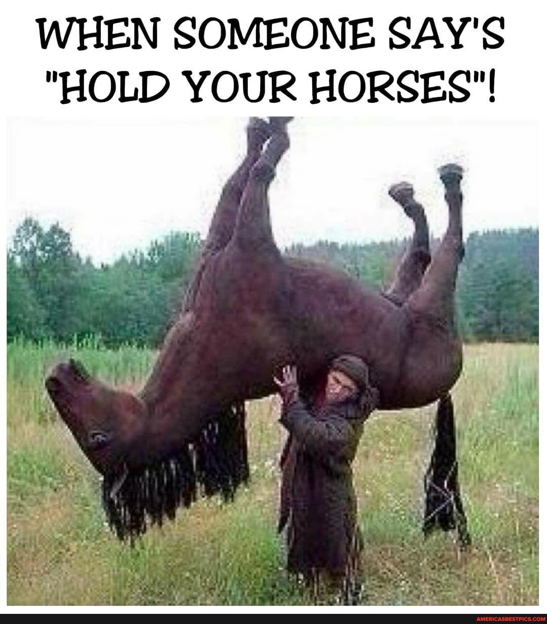 WHEN SOMEONE SAY'S
"HOLD YOUR HORSES"!