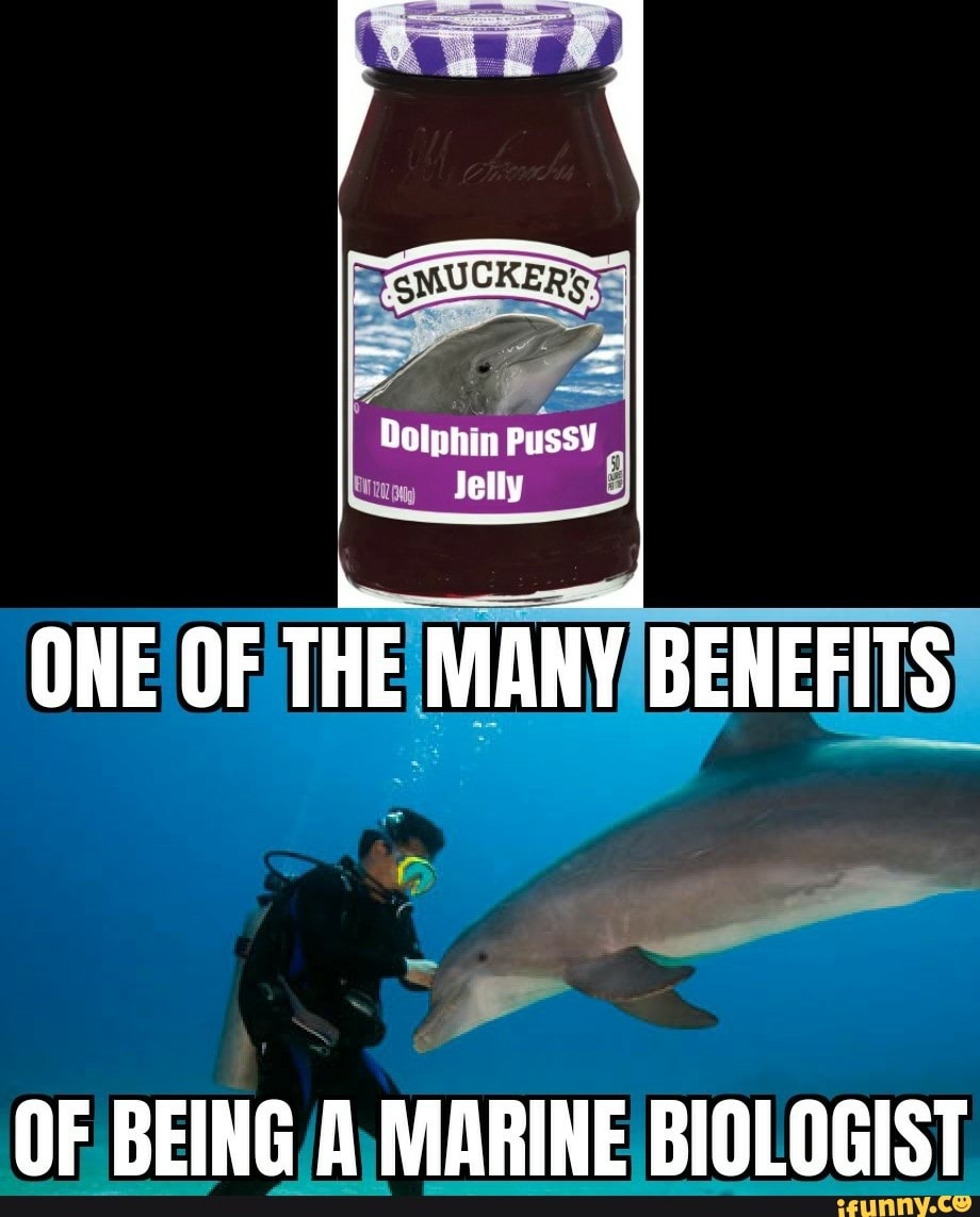 ONE OF THE MANY BENEFITS OF BEING A MARINE BIOLOGIST - iFunny