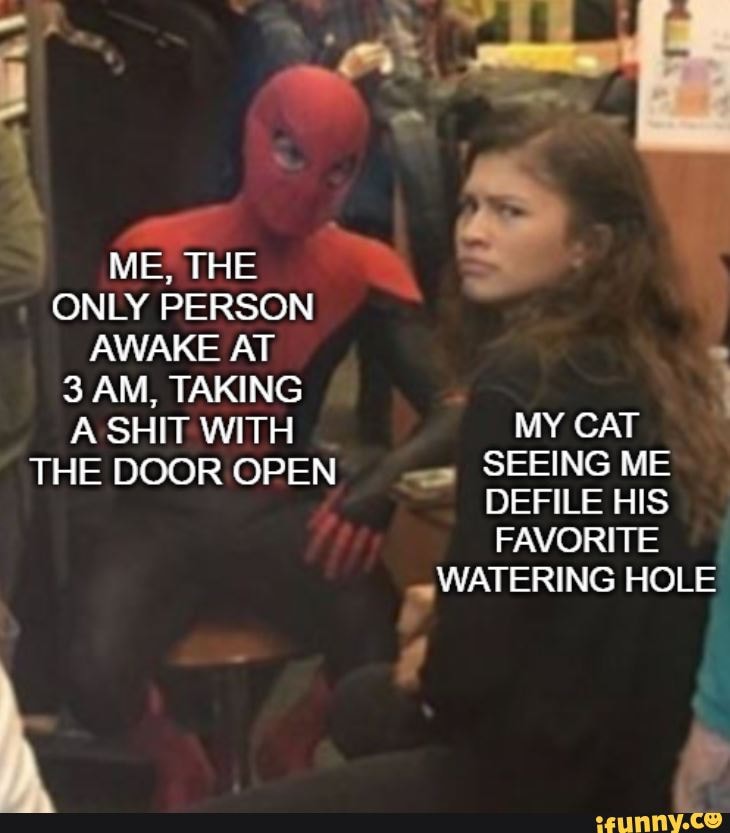 ME, THE ONLY PERSON AWAKE AT
3 AM, TAKING A SHIT WITH MY CAT THE DOOR OPEN SEEING ME DEFILE HIS FAVORITE WATERING HOLE
