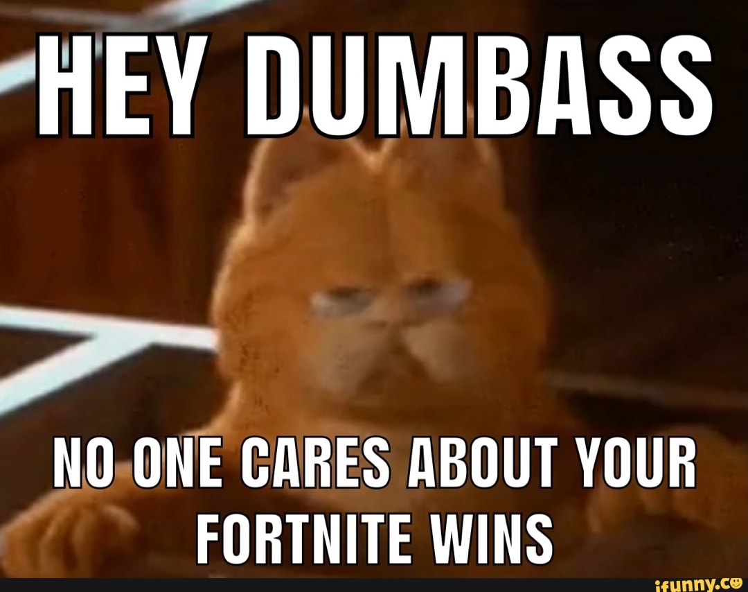 Hey Dumbass No One Cares About Your Fortnite Wins