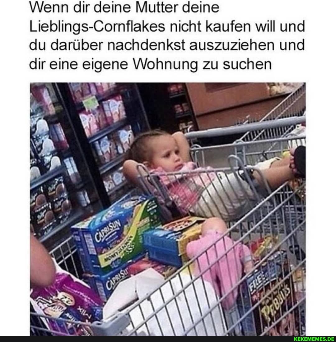 Wenn dir deine Mutter deine
Lieblings-Cornflakes nicht kaufen will und du darüber nachdenkst auszuziehen und dir eine eigene Wohnung zu suchen