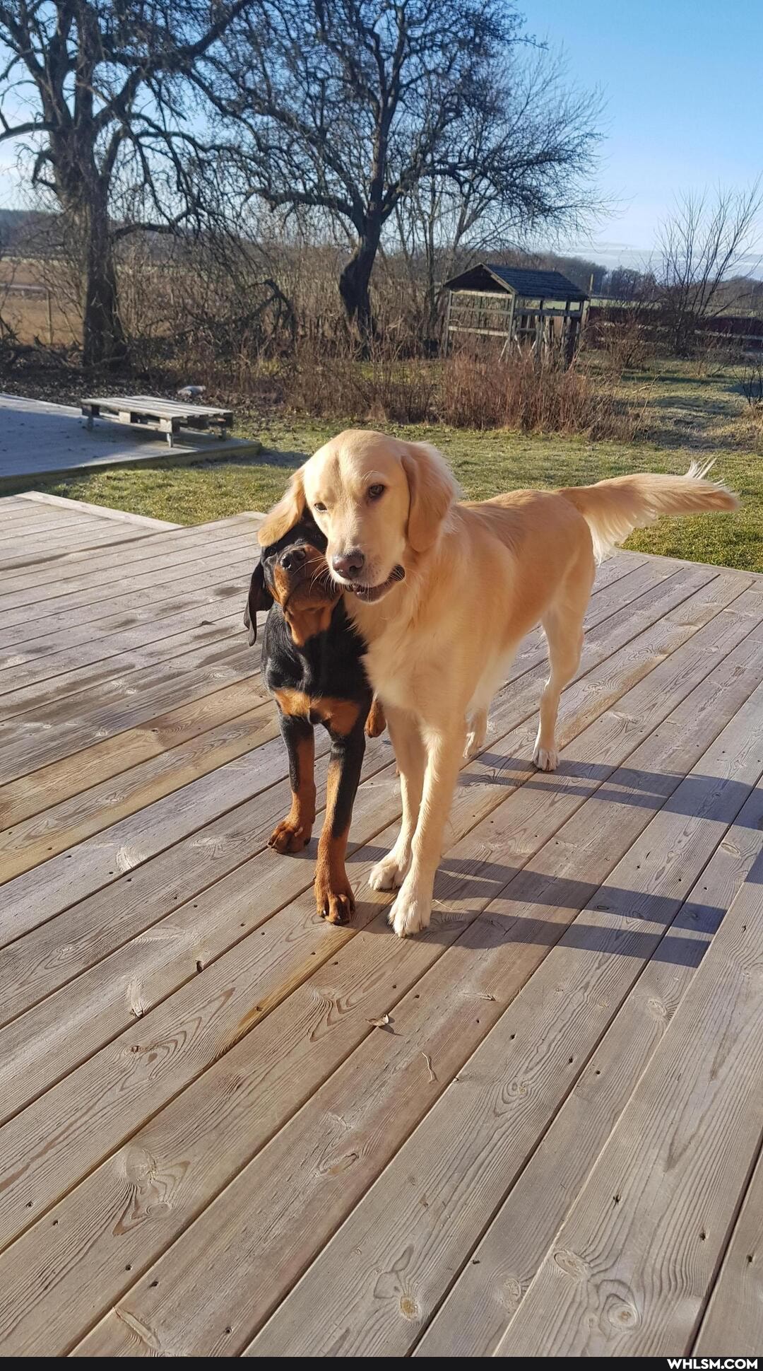 aww, cakeday