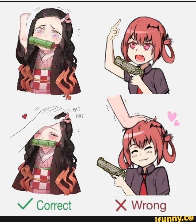 X Wrong
Correct