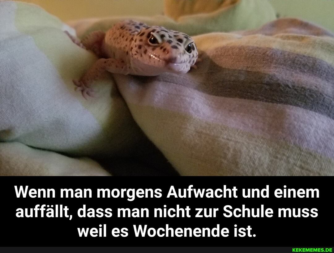 Wenn man morgens Aufwacht und einem auffällt, dass man nicht zur Schule muss weil es Wochenende ist. - Wenn man morgens Aufwacht und einem auffällt, dass man nicht zur Schule muss weil es Wochenende ist.