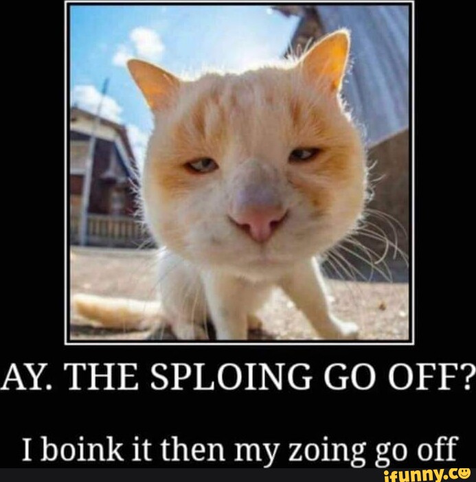 Boink memes. Best Collection of funny Boink pictures on iFunny