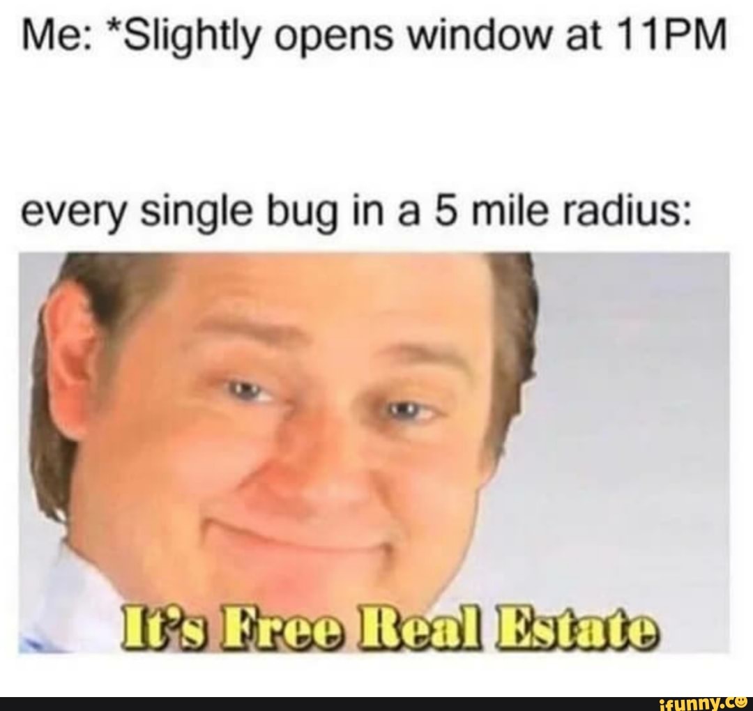 Me: *Slightly opens window at 11PM
every single bug in a 5 mile radius: