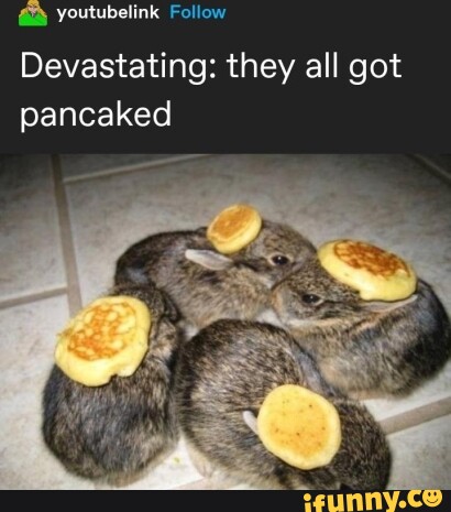 Youtubelink Fellow Devastating: they all got pancaked - iFunny