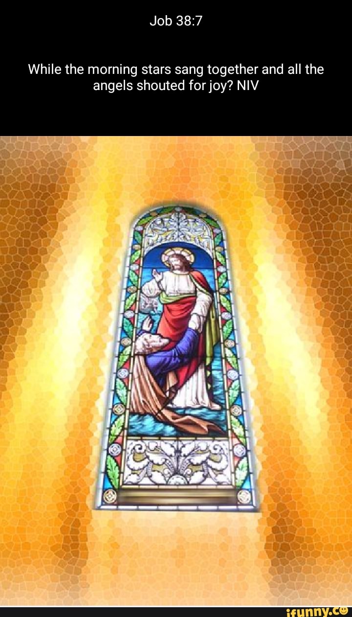 Job While the morning stars sang together and all the angels shouted