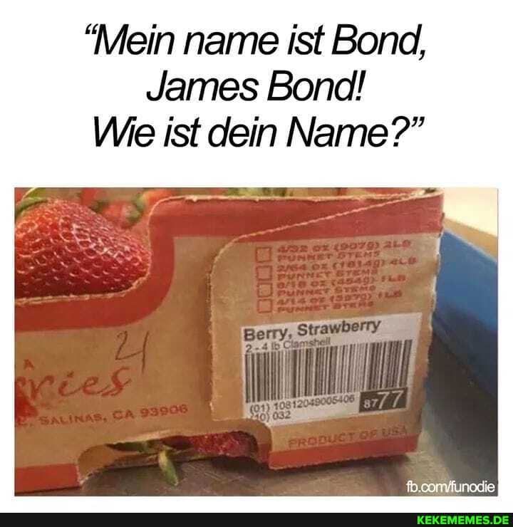 "Mein name ist Bond,
James Band
Wie ist dein Name?"