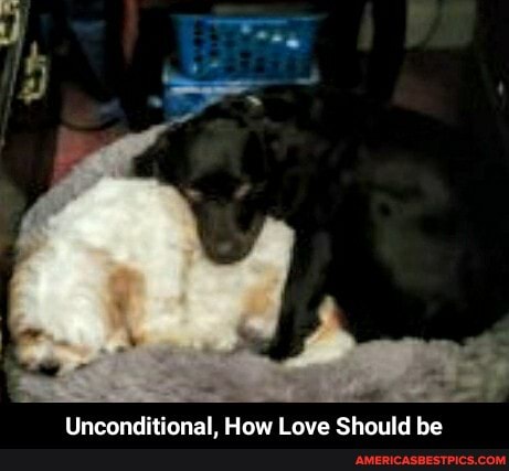 Unconditional, How Love Should be - Unconditional, How Love Should be
