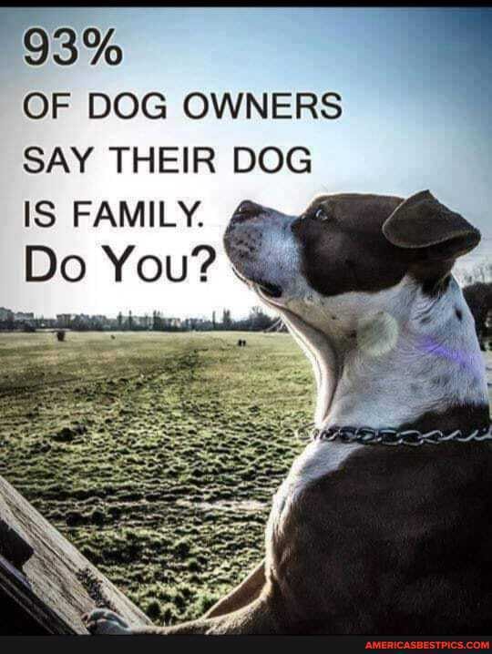 93%
OF DOG OWNERS SAY THEIR DOG
IS FAMILY.
Do You?