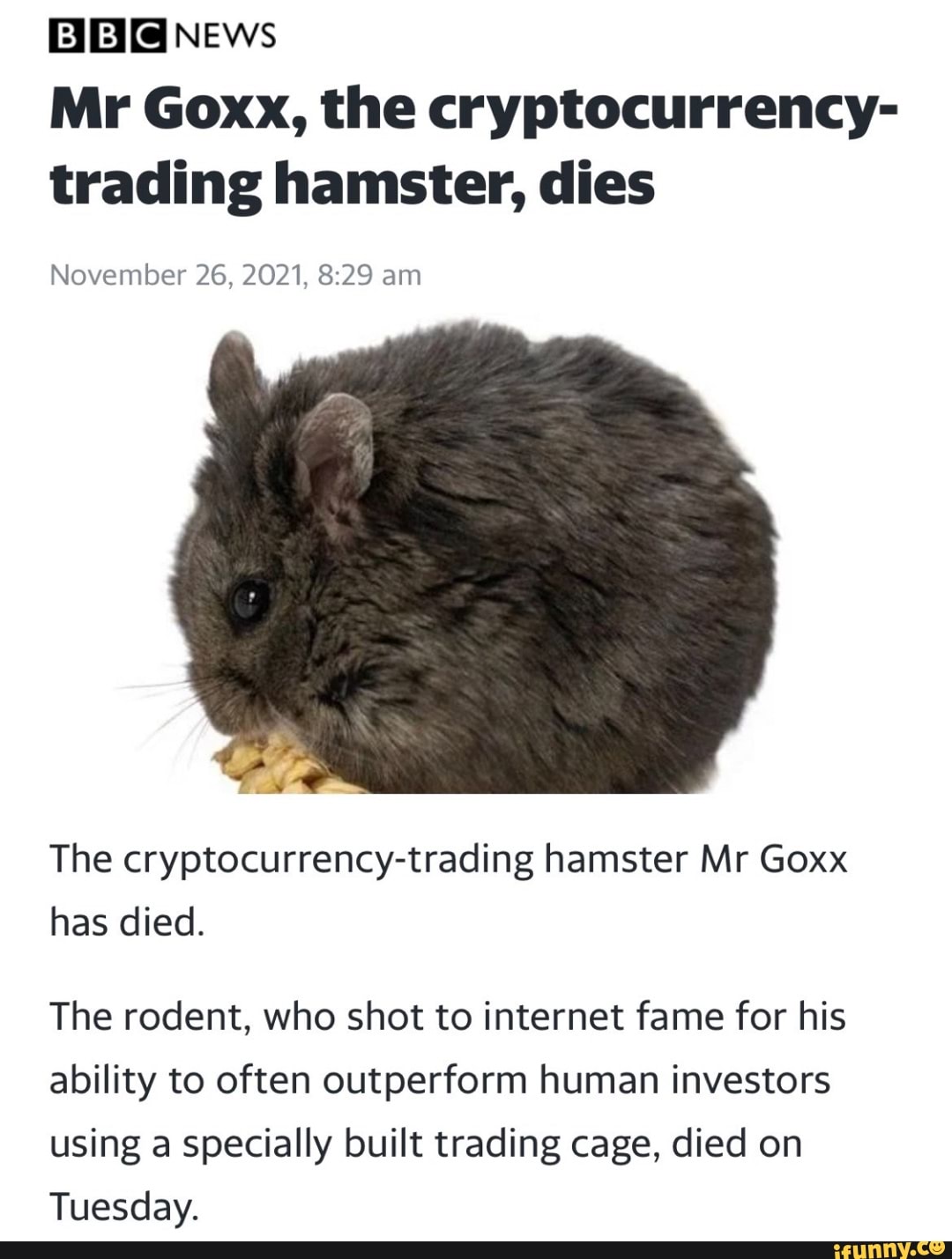 News Mr Goxx, the cryptocurrency- trading hamster, dies November 26, 2021,  am The cryptocurrency-trading hamster