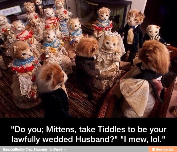 "Do you; Mittens, take Tiddles to be your
lawfully wedded Husband?" "I mew, lol." - "Do you; Mittens, take Tiddles to be your lawfully wedded Husband?" "I mew, lol."