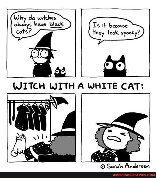 Why do witches always have black cots?
Ts it becavse they look spooky?
A WHITE CAT: