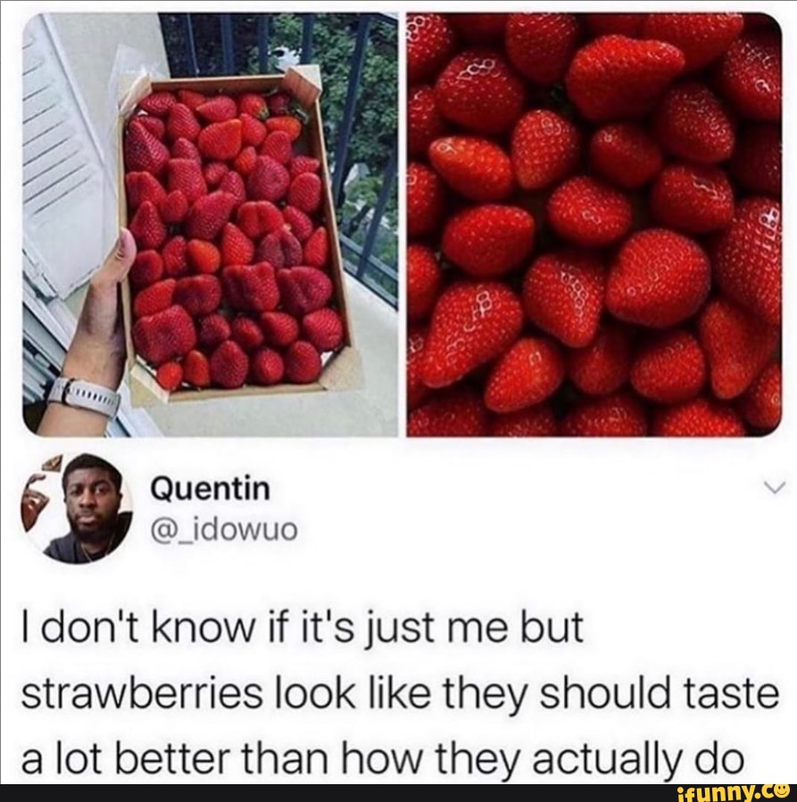 strawberries look like they should taste
a lot better than how they actually do