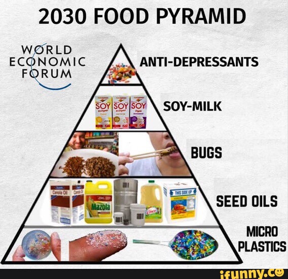 2030 FOOD PYRAMID WORLD FORUM DEPRESSARTS - iFunny