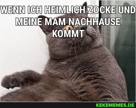 WENNJIEHIHEIMLICH
ZOCKE UND
MEINE MAM NACHHAUSE
KOMMT