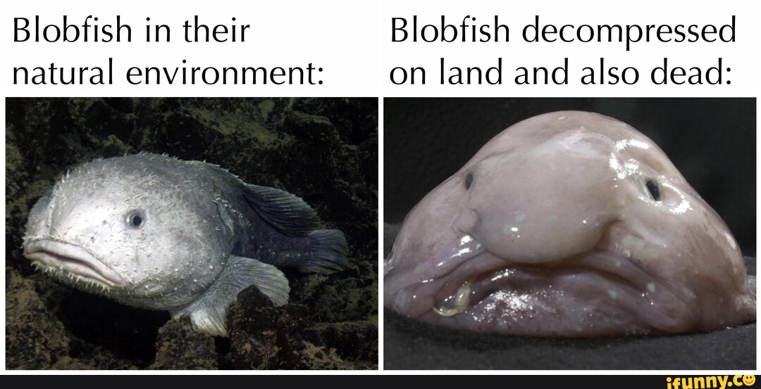 Blobfish Habitatkart Blobfish Habitatkart