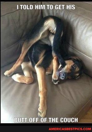 TOLD TO GET HIS.
BUTT OFF OF THE COUCH