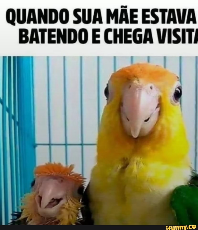 QUANDO SUA MÃE ESTAVA BATENDO E CHEGA VISITI