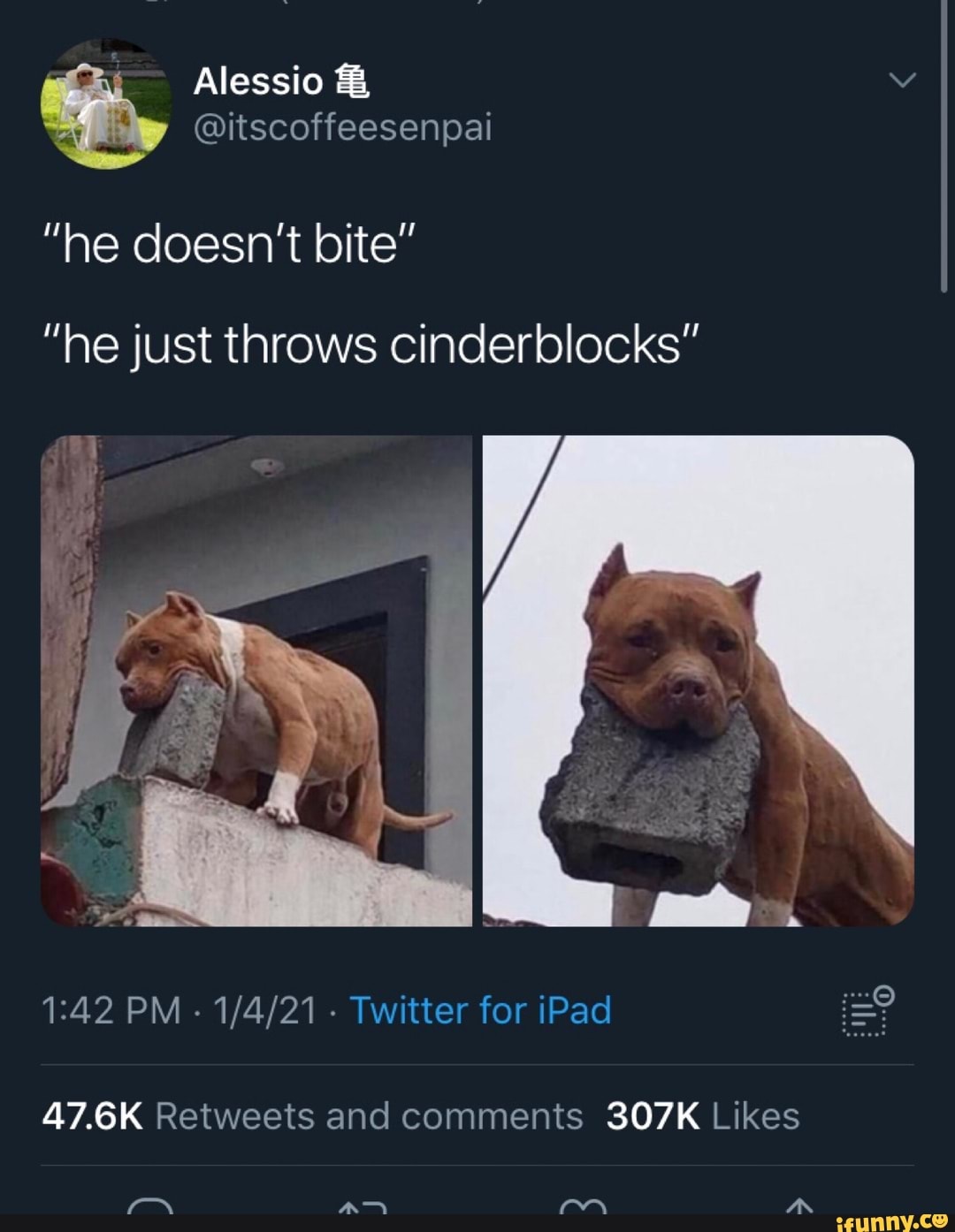 Alessio Itscoffeesenpai He Doesnt Bite Ne Just Throws Cinderblocks