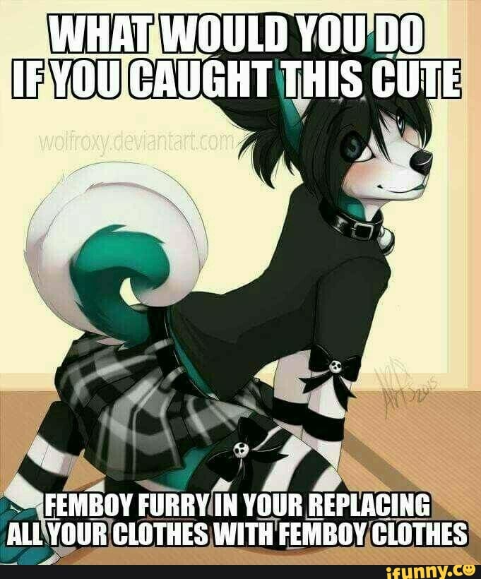 What Would You Do If This Cute Femboy Furry In Your Replacing Your