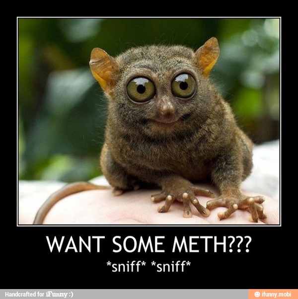 I
WANT SOME METH??? - WANT SOME METH???
*sniff* *sniff*
