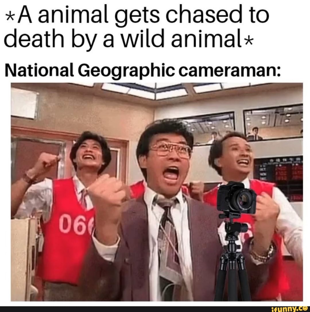 *A animal gets chased to
death by a wild animal
National Geographic cameraman: