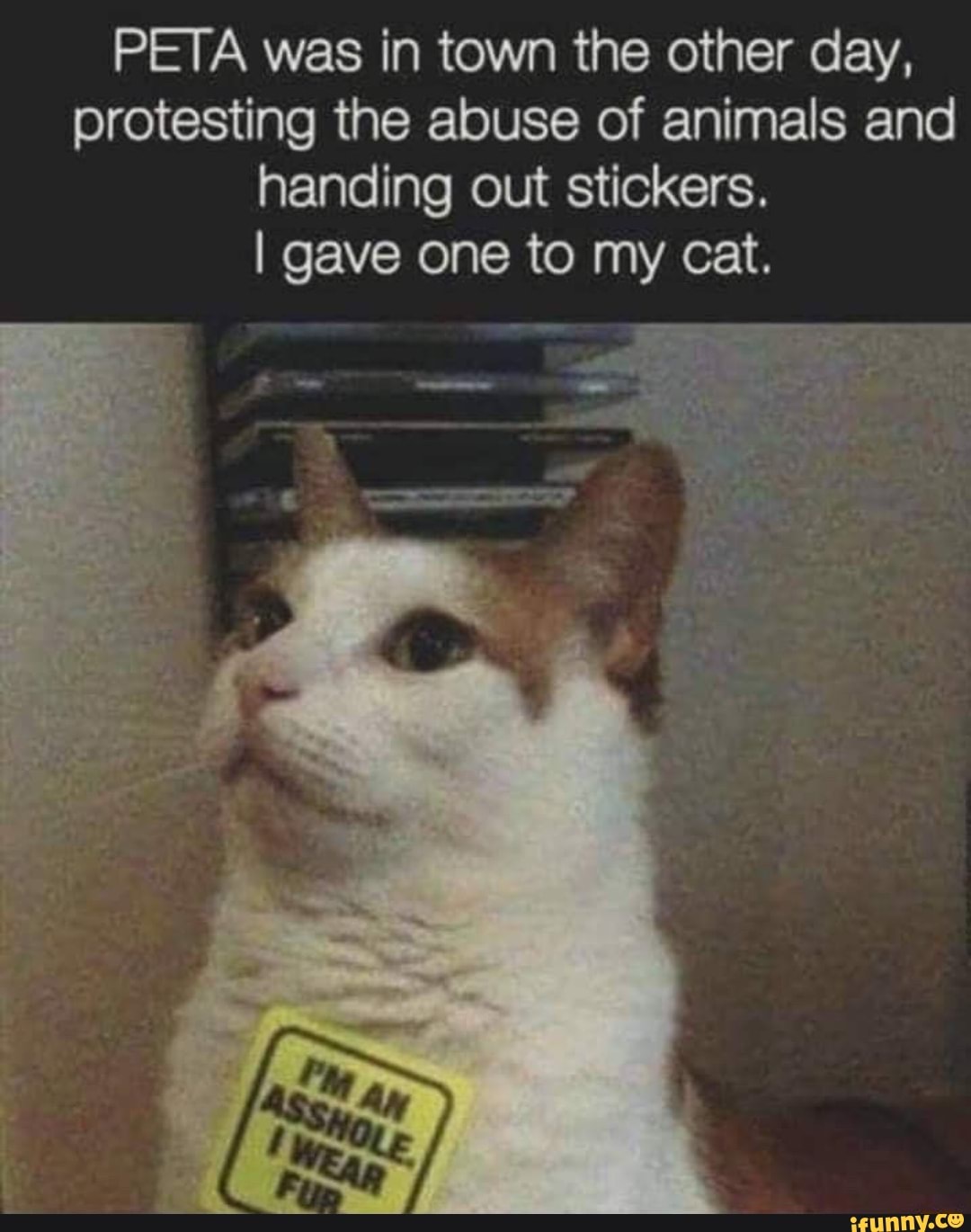 PETA was in town the other day, protesting the abuse of animals and handing out stickers.
I gave one to my cat.