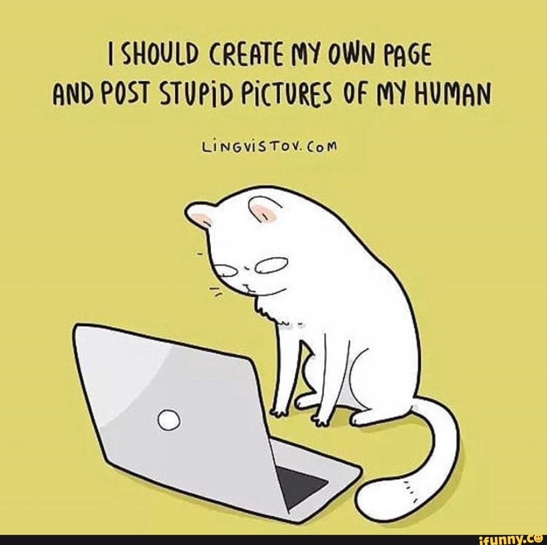 I SHOULD CREATE MY OWN PAGE AND POST STUPID PICTURES OF MY HUMAN
LINGVIS TOV. Com