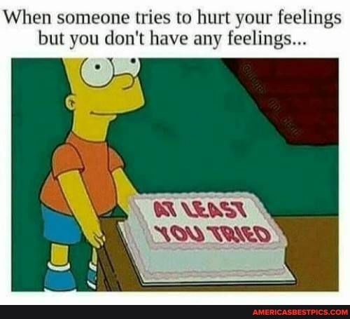 When someone tries to hurt your feelings but you don't have any feelings...