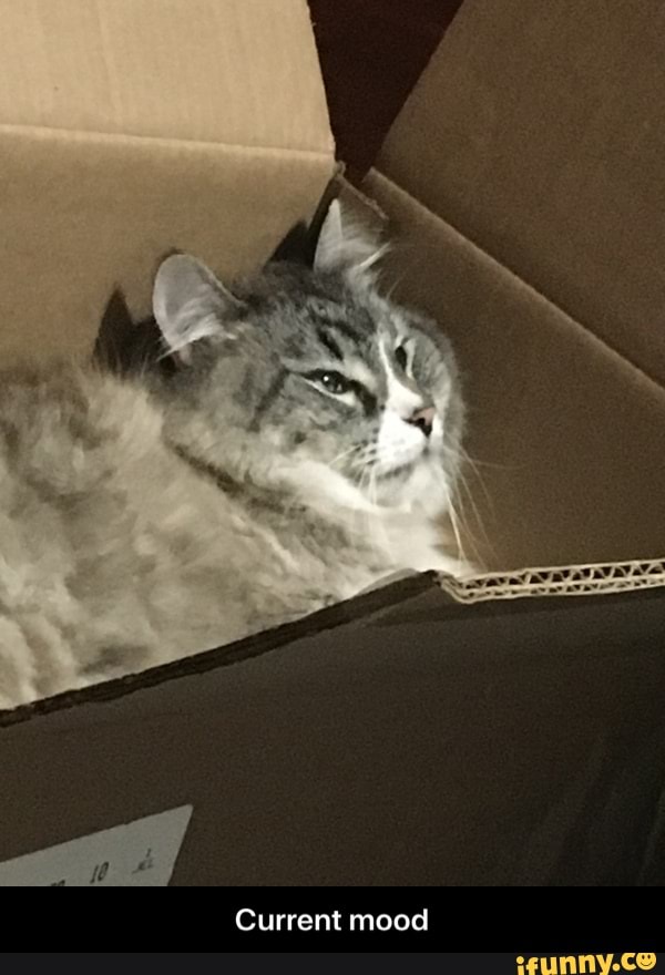 rr
Current mood - Current mood