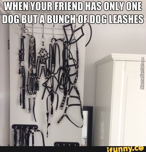 WHEN YOUR FRIEND HAS ONLY ONE DOG BUT A BUNCH OF DOG LEASHES