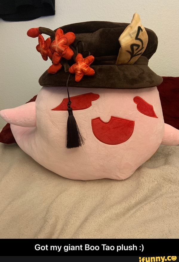 Got my giant Boo Tao plush - Got my giant Boo Tao plush :)