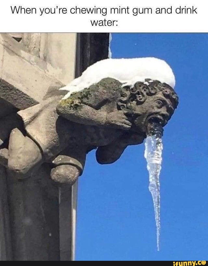 When you're chewing mint gum and drink water iFunny