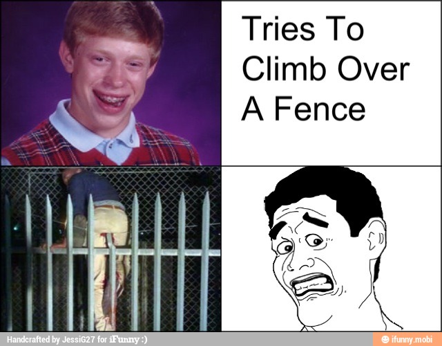Tries To
Climb Over
A Fence