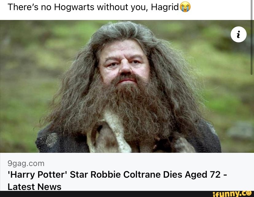 There's No Hogwarts Wit You, Hagrid@) 'Harry Potter' Star Robbie ...