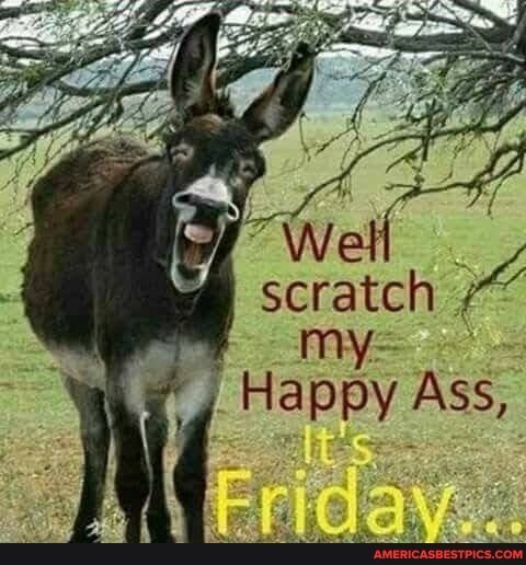 scratch
my-
Happy Ass,