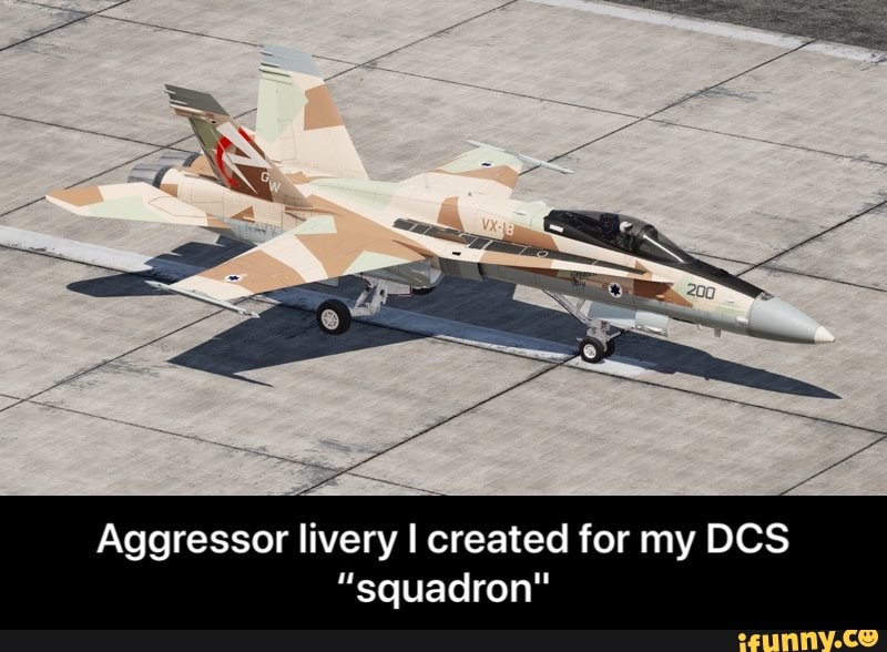 Aggressor livery I created for my DCS 
