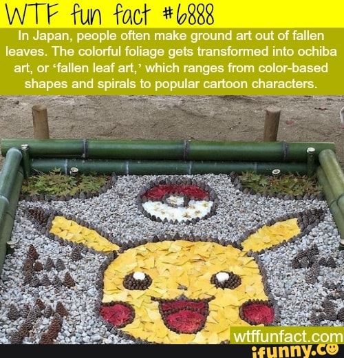 WTE fun fact *0888