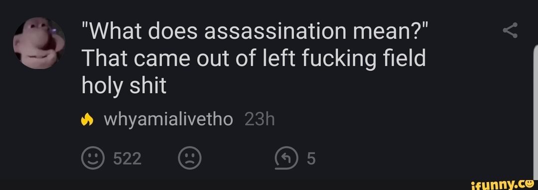 what-does-assassination-mean-that-came-out-of-left-fucking-eld