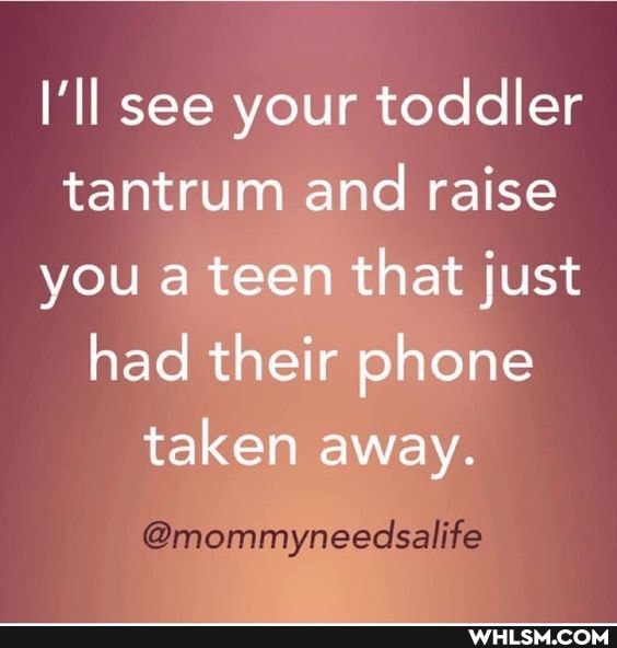 I'll see your toddler tantrum and raise you a teen that just had their phone taken away.
@mommyneedsalife