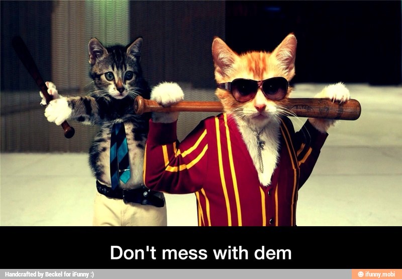 Don't mess with dem - Don't mess with dem