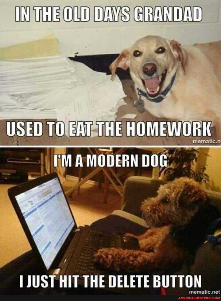 IN THE OLD DAYS GRANDAD
USED TO EAT THE HOMEWORK A MODERN DOG
LIUST HIT THE DELETE BUTTON